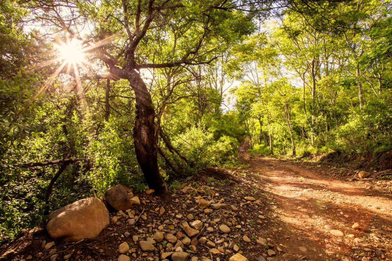 Вилла Rivendell Trout Estate Машишинг Экстерьер фото